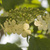Image-square_50