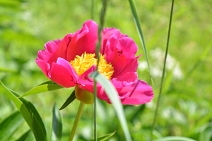 Image-preview_300x200