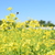 Image-square_50