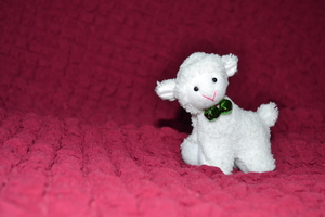 Image-preview_300x200