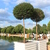Image-square_50