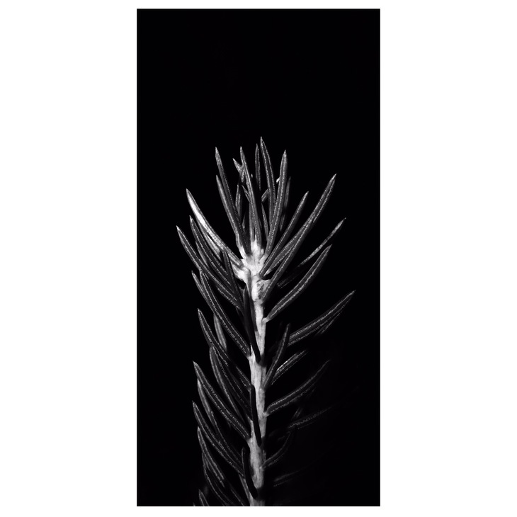 Image-normal