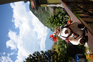 Image-preview_300x200