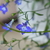 Image-square_50