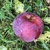 Image-square_50