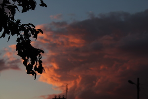 Image-preview_300x200