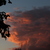 Image-square_50