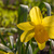 Image-square_50
