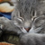 Image-square_50