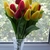 Image-square_50