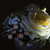 Image-square_50
