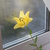 Image-square_50