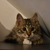 Image-square_50