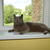 Image-square_50