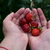 Image-square_50