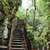 Image-square_50