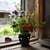 Image-square_50