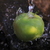 Image-square_50