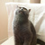 Image-square_50