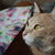 Image-square_50