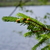 Image-square_50