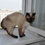 Image-square_50
