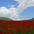 Image-square_50