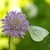 Image-square_50