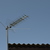 Image-square_50