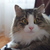 Image-square_50