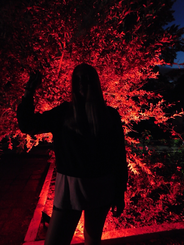 Image-normal