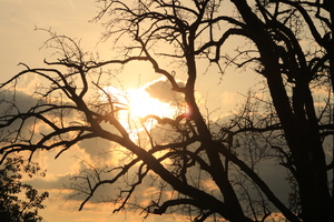 Image-preview_300x200