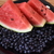Image-square_50
