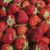 Image-square_50