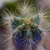 Image-square_50
