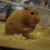 Image-square_50