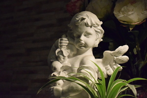 Image-preview_300x200