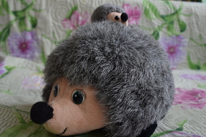 Image-preview_300x200