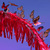 Image-square_50