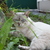 Image-square_50