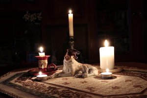 Image-preview_300x200