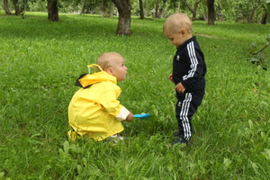 Image-preview_300x200