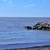 Image-square_50