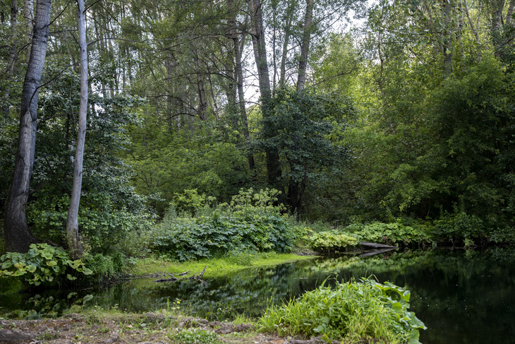Image-normal