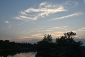 Image-preview_300x200