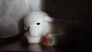 Image-preview_300x200