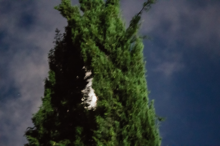 Image-normal