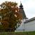 Image-square_50