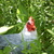 Image-square_50