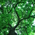 Image-square_50